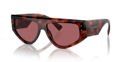 Dolse & Gabana  4461 Sunglasses