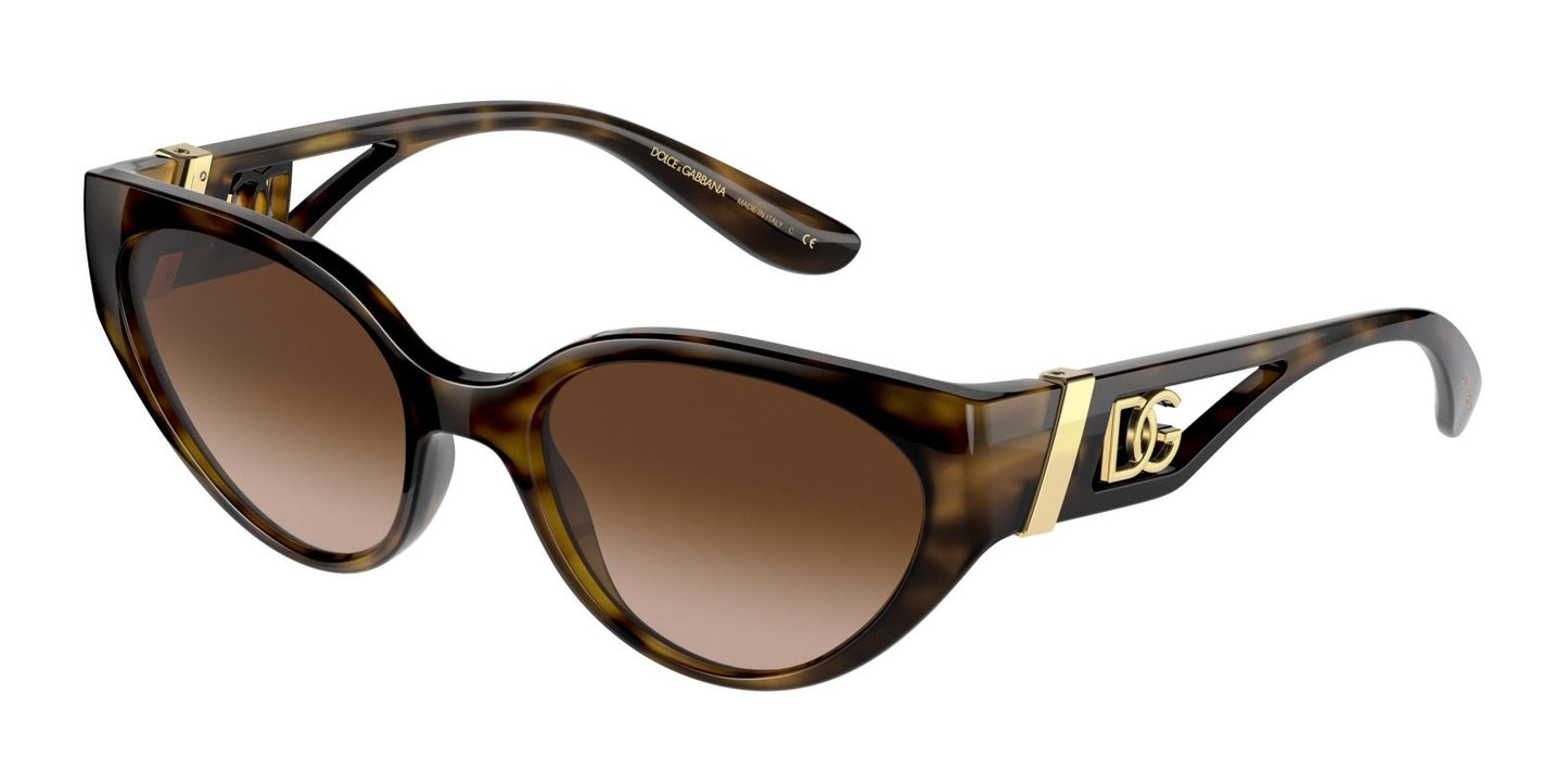 Dolse & Gabana  6146 Sunglasses
