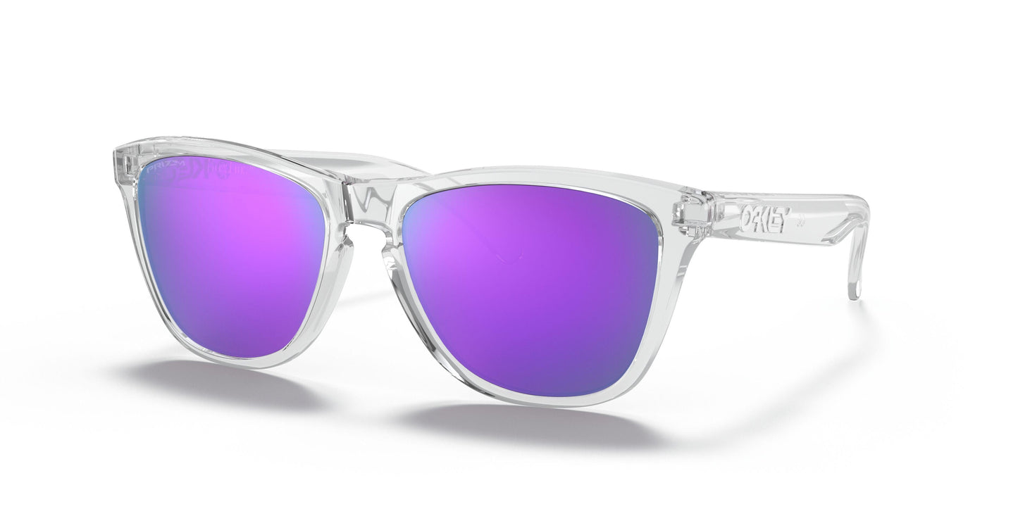 Oakley Frogskins 9245 Sunglasses