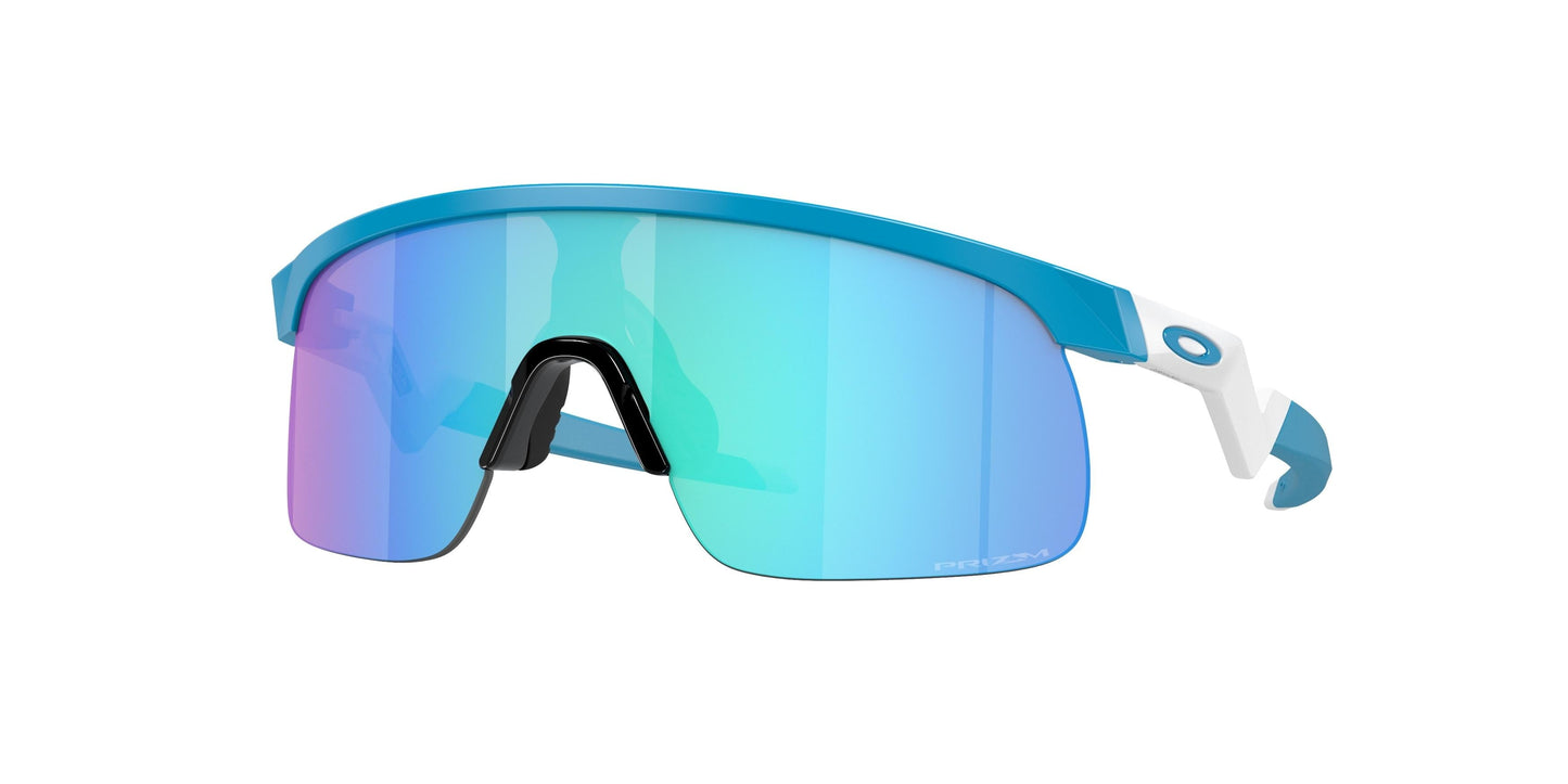 Oakley Resistor 9010 Sunglasses