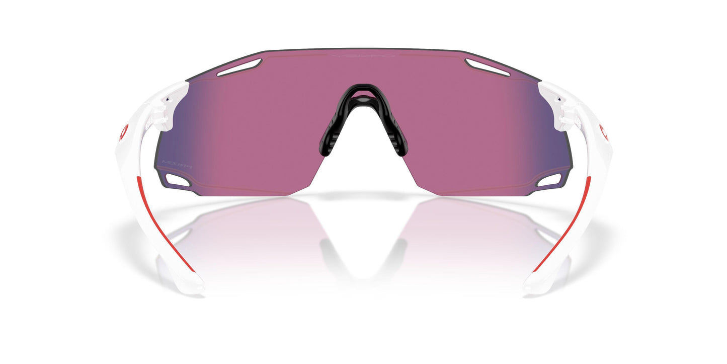 Oakley Cybr Dyno 9513D Sunglasses