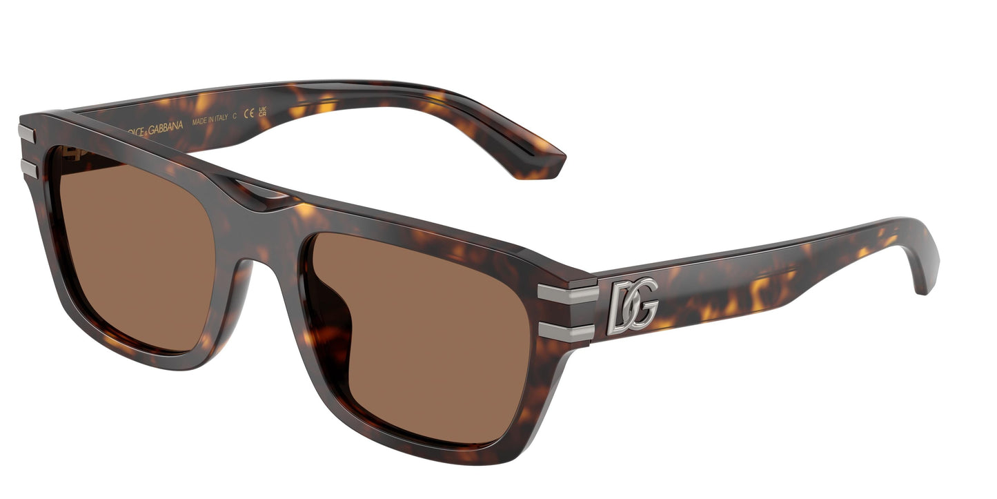 Dolse & Gabana  4496 Sunglasses