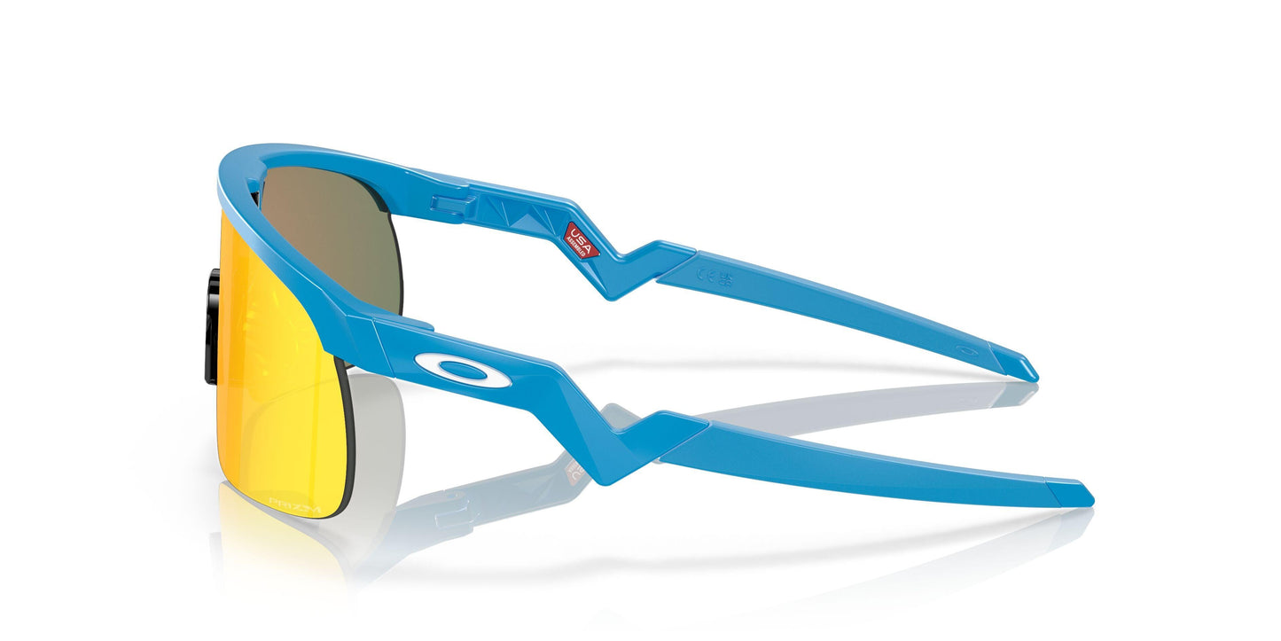Oakley Resistor 9010 Sunglasses