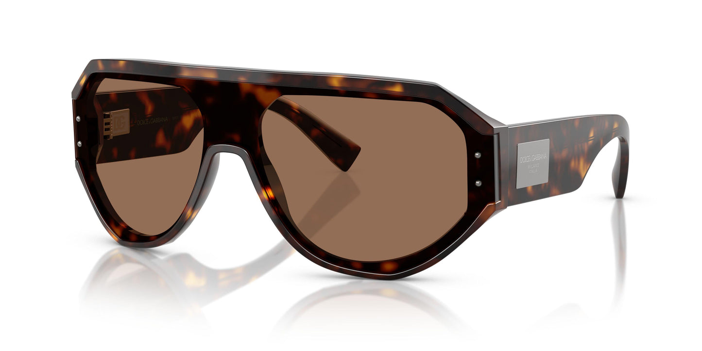 Dolse & Gabana  4481F Sunglasses