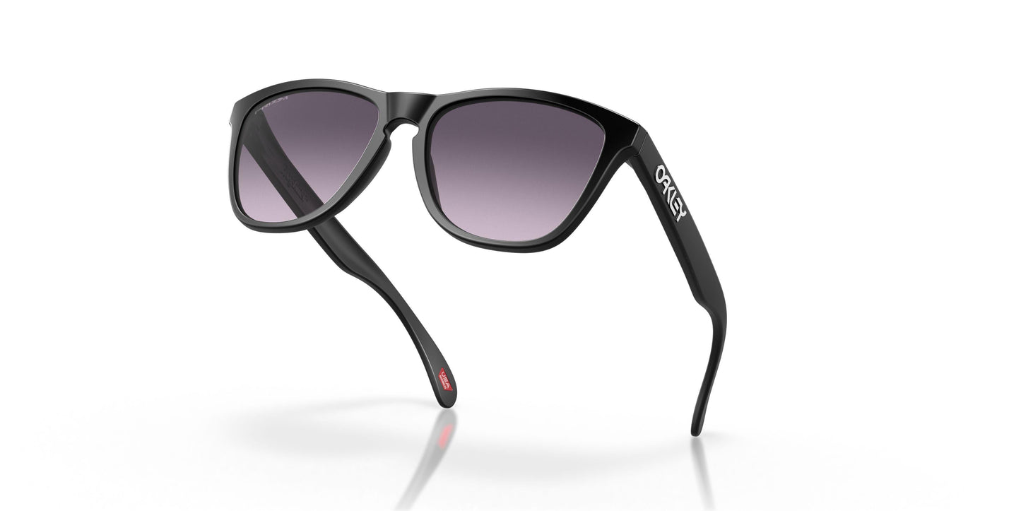 Oakley Frogskins 9245 Sunglasses
