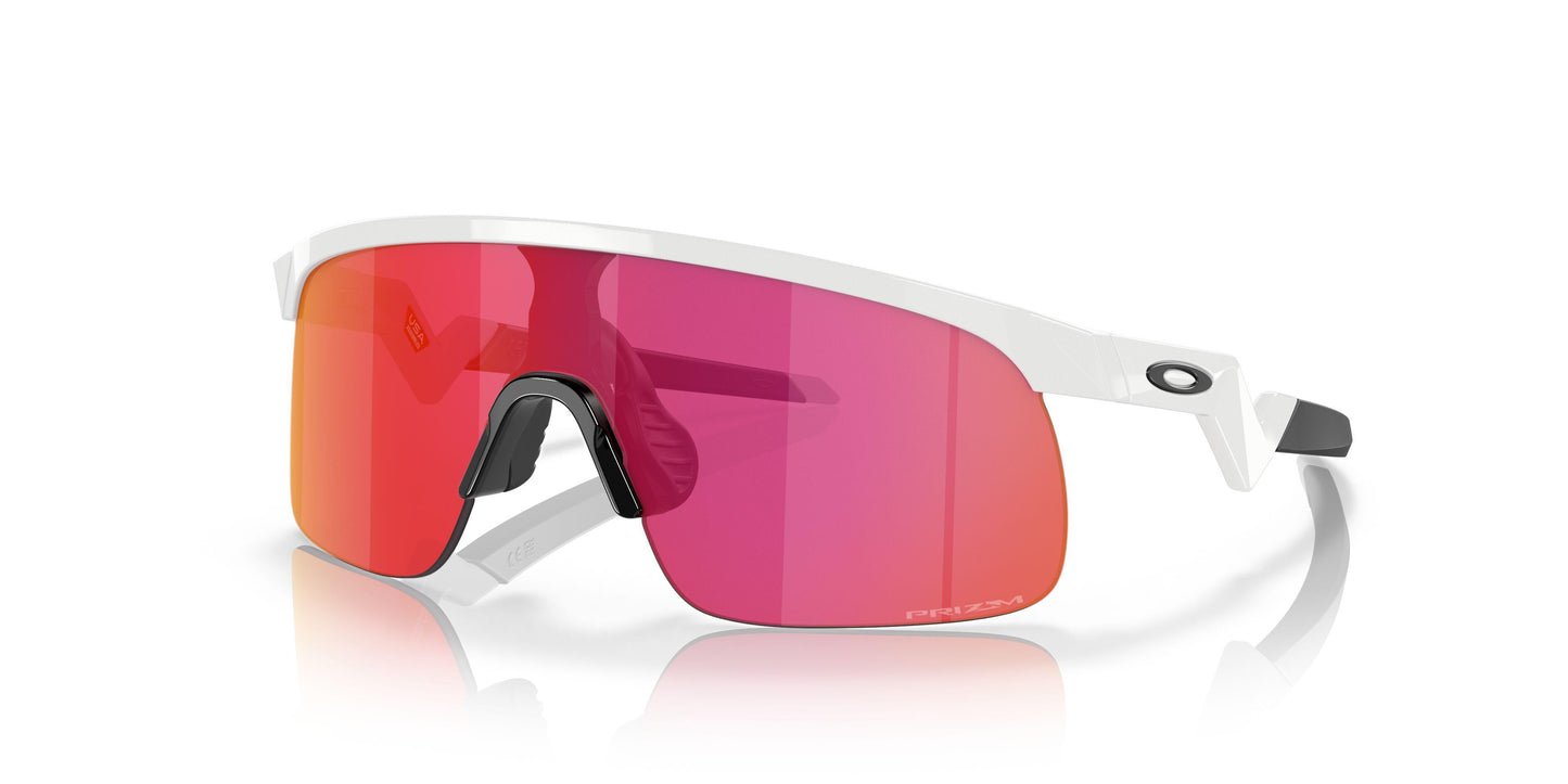 Oakley Resistor 9010 Sunglasses