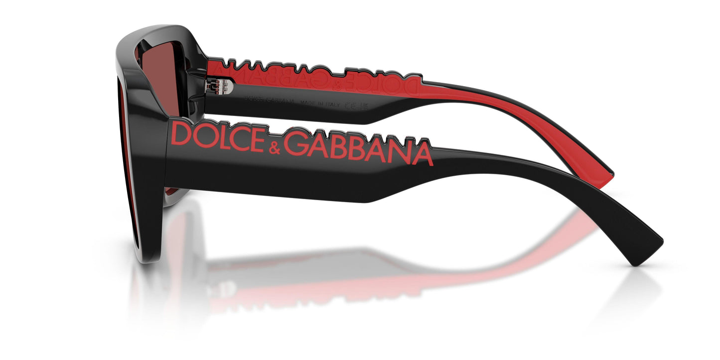 Dolse & Gabana  6204 Sunglasses