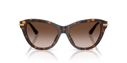 Dolse & Gabana  4534 Sunglasses