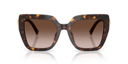 Dolse & Gabana  4538 Sunglasses