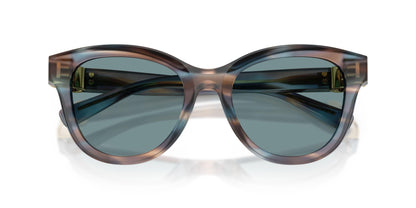 Dolse & Gabana  4533 Sunglasses