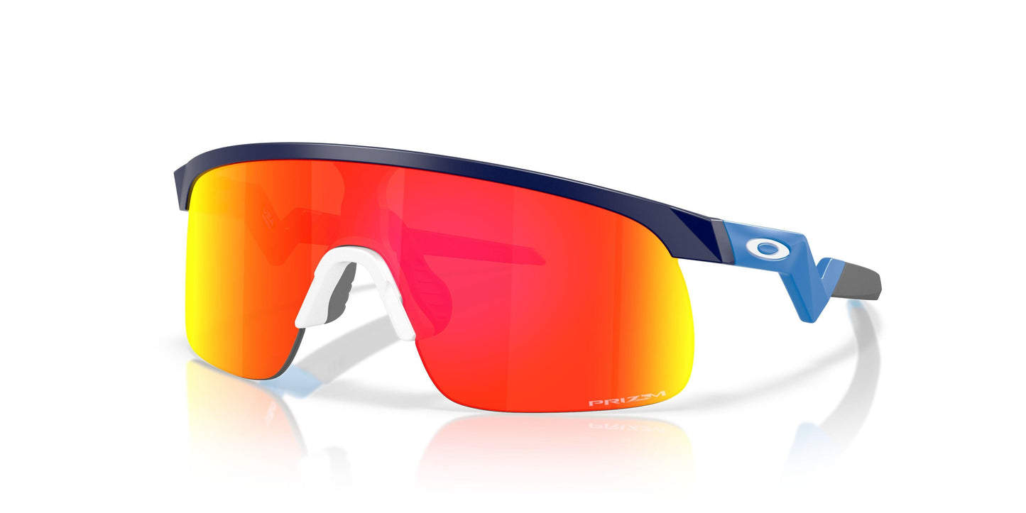 Oakley Resistor 9010 Sunglasses