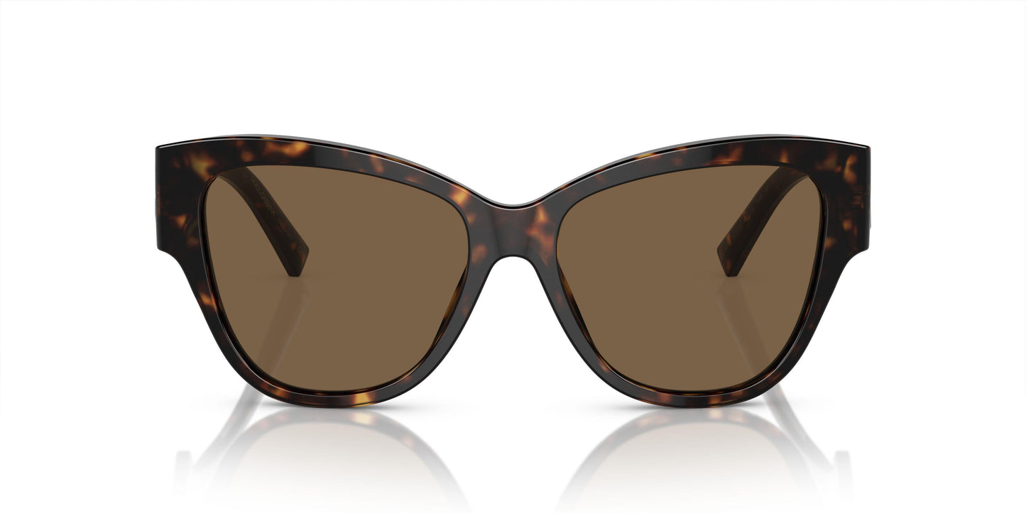 Dolse & Gabana  4449 Sunglasses