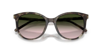 Dolse & Gabana  4540 Sunglasses