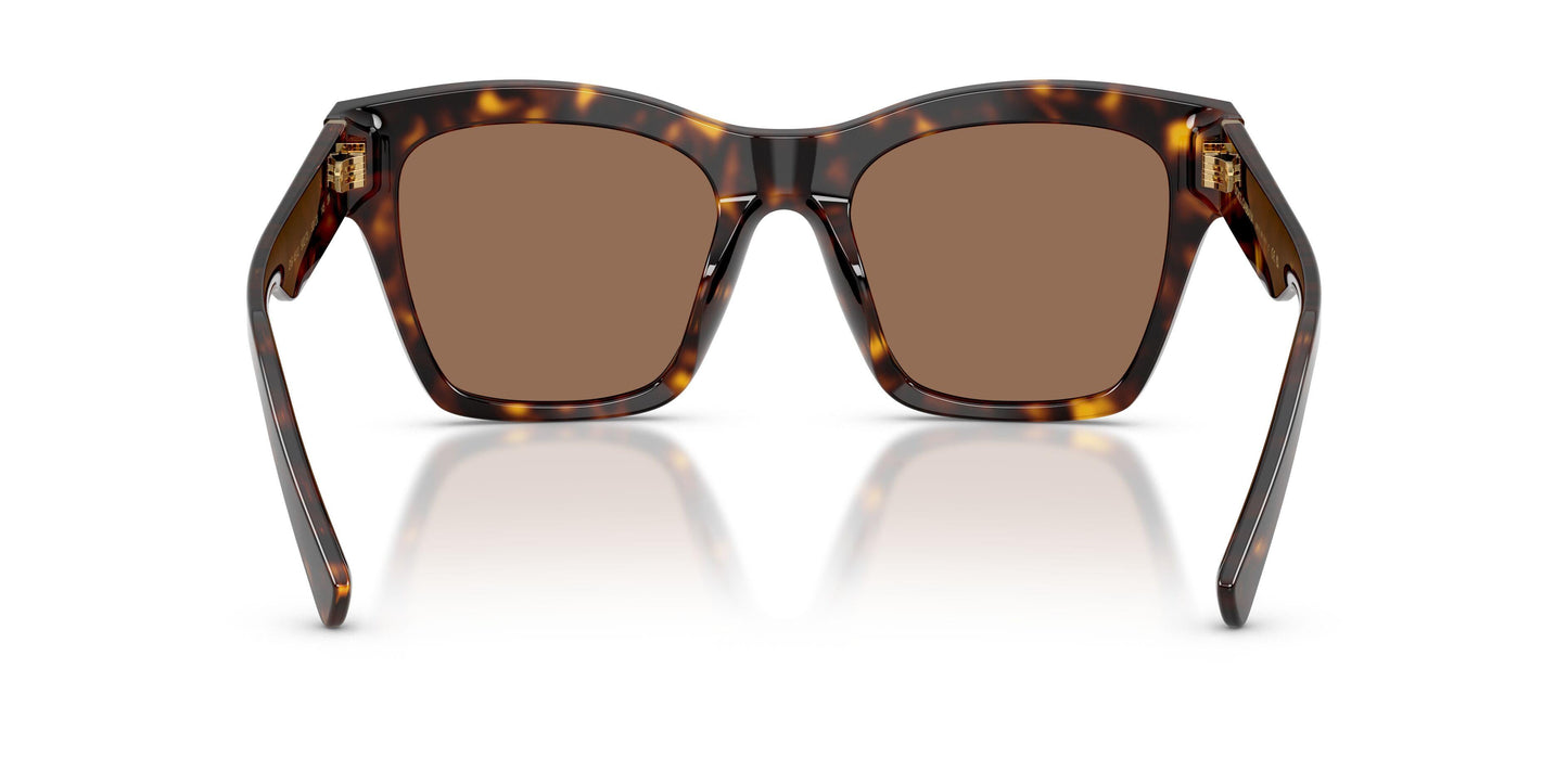 Dolse & Gabana  4512 Sunglasses