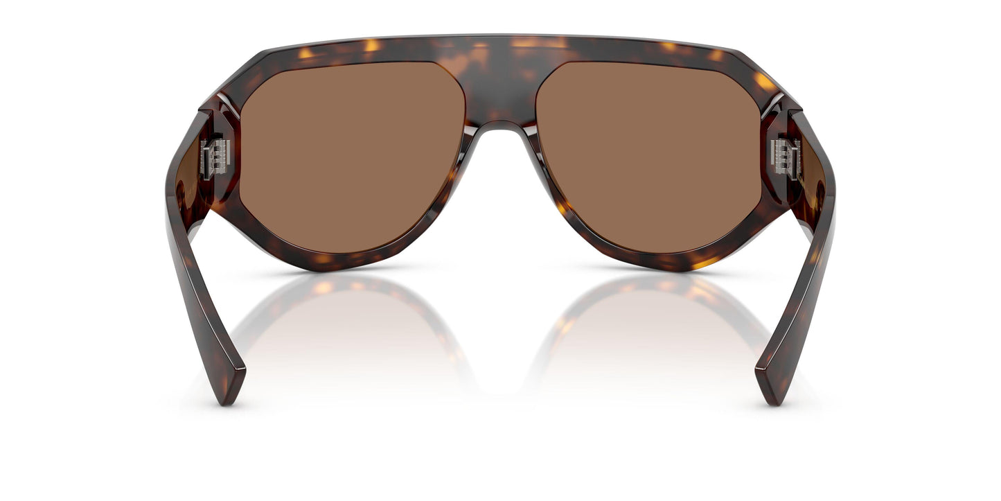 Dolse & Gabana  4481 Sunglasses