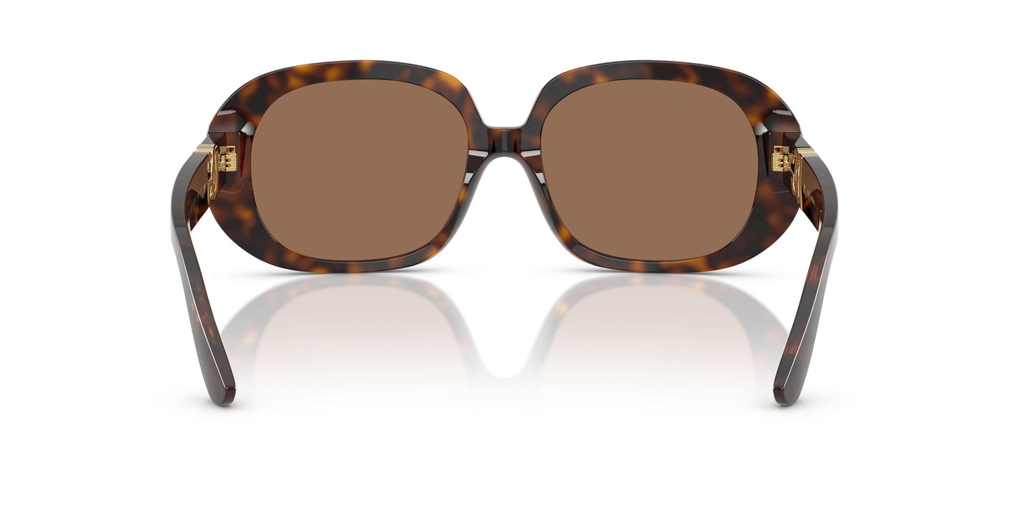 Dolse & Gabana  4476 Sunglasses
