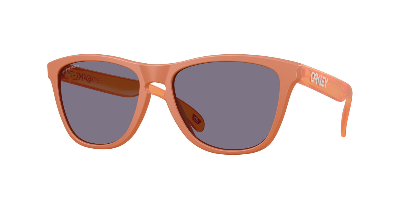 Oakley Frogskins 9245 Sunglasses