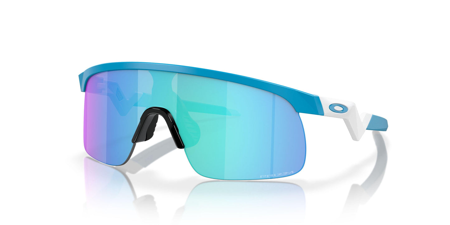 Oakley Resistor 9010 Sunglasses