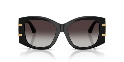 Dolse & Gabana  4501 Sunglasses