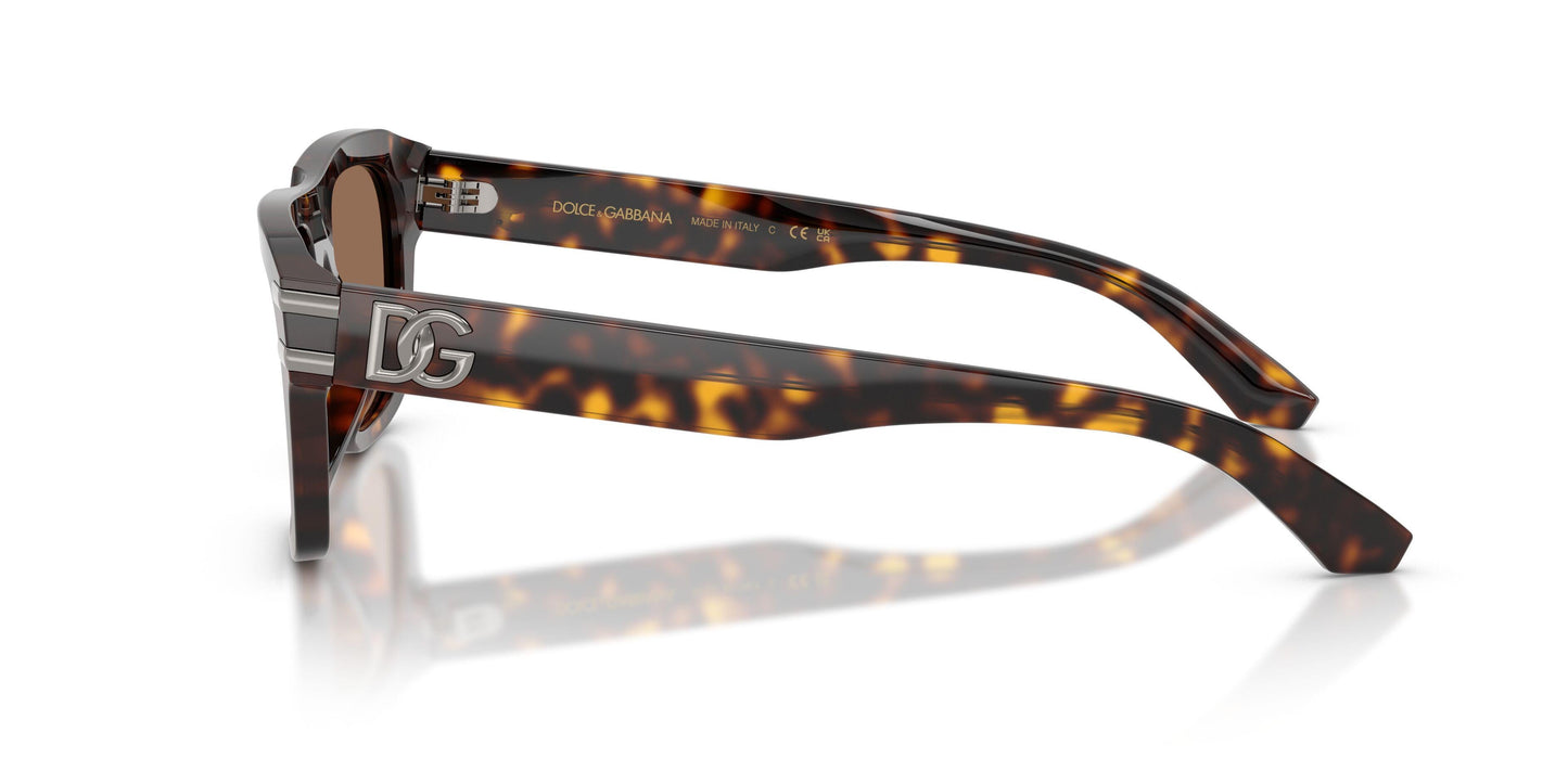 Dolse & Gabana  4496 Sunglasses
