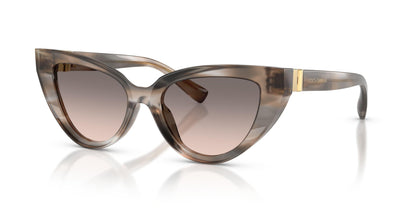Dolse & Gabana  4497 Sunglasses