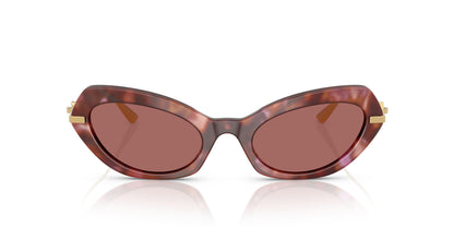 Dolse & Gabana  4473 Sunglasses