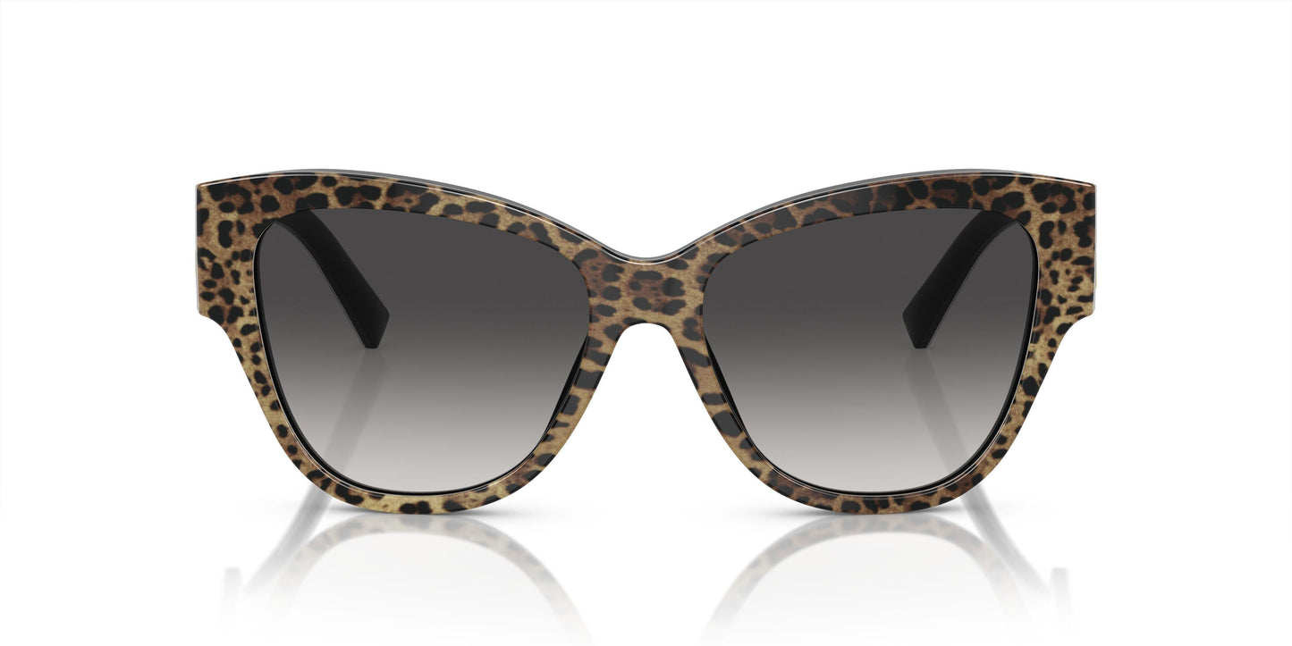 Dolse & Gabana  4449 Sunglasses