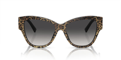 Dolse & Gabana  4449 Sunglasses