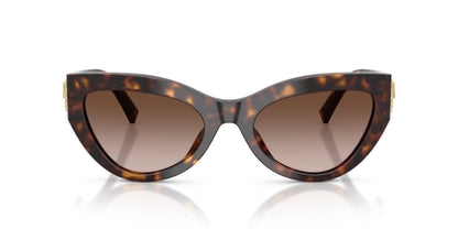 Dolse & Gabana  4536 Sunglasses